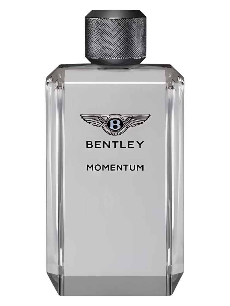 Bentley Momentum