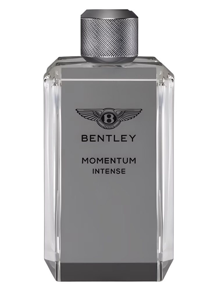 Bentley Momentum Intense