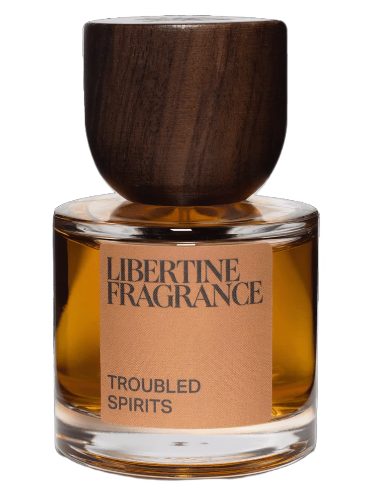 Paraphrase Troubled Spirits