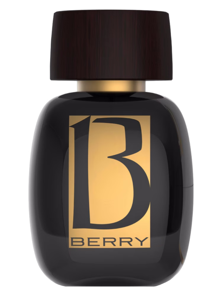 Maison de Parfum Berry Ambre 35