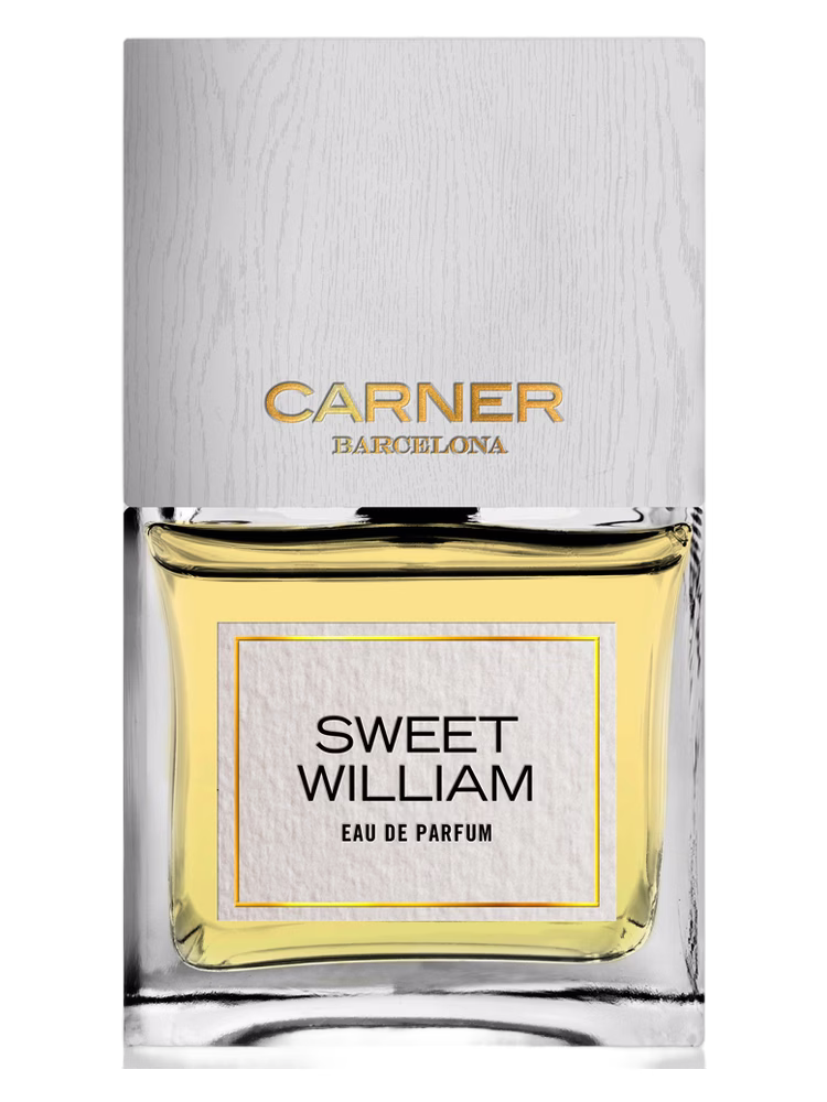 Carner Barcelona Sweet William