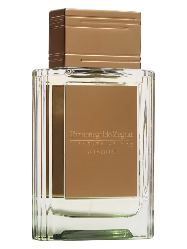 Ermenegildo Zegna Wisdom