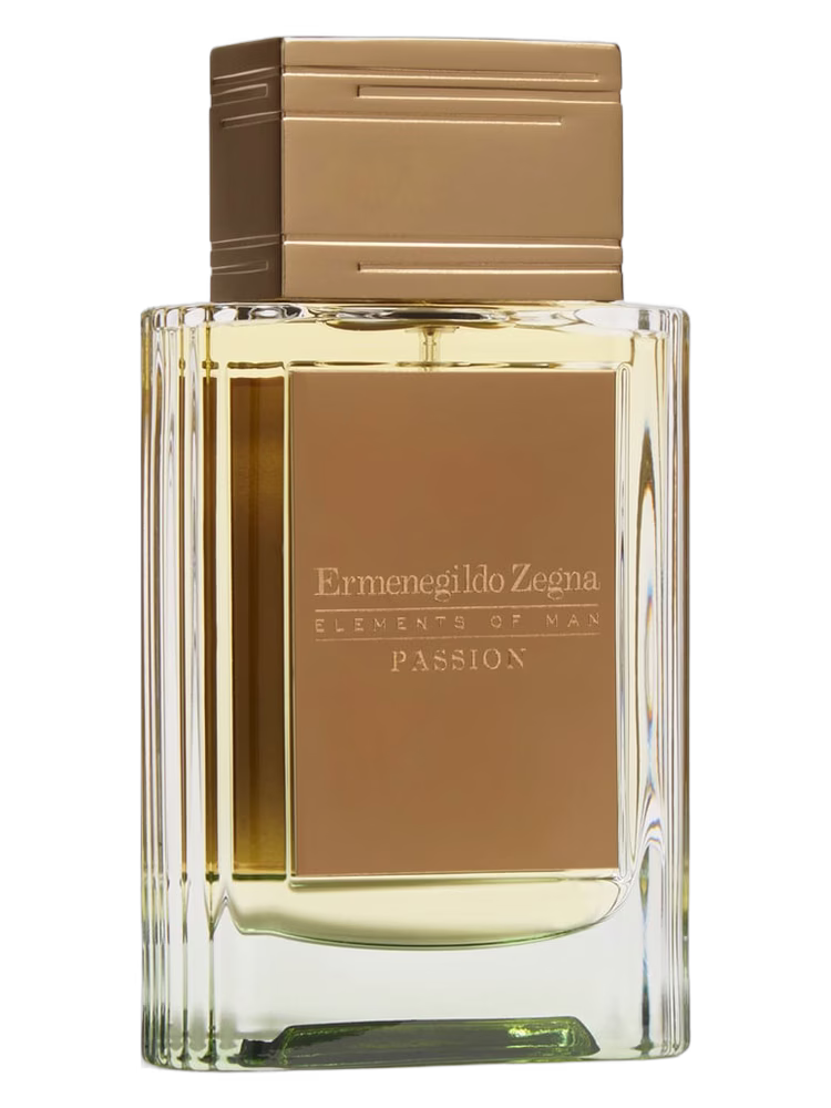 Ermenegildo Zegna Passion