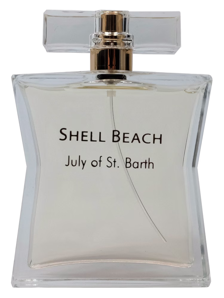 July St Barthelemy Shell Beach