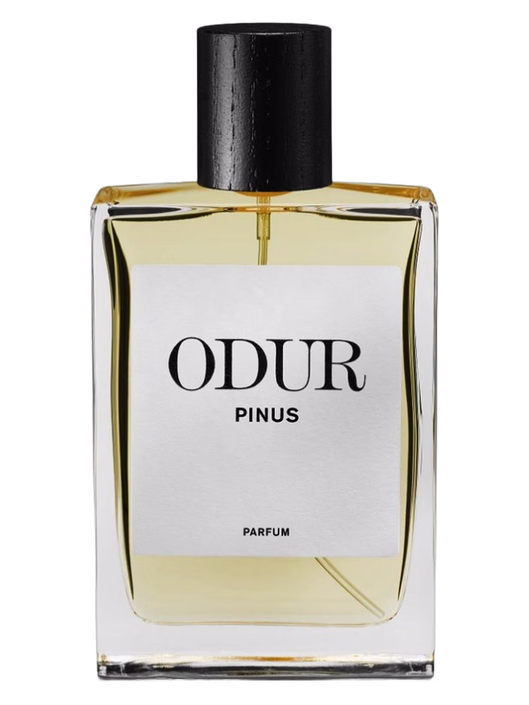 ODUR Pinus