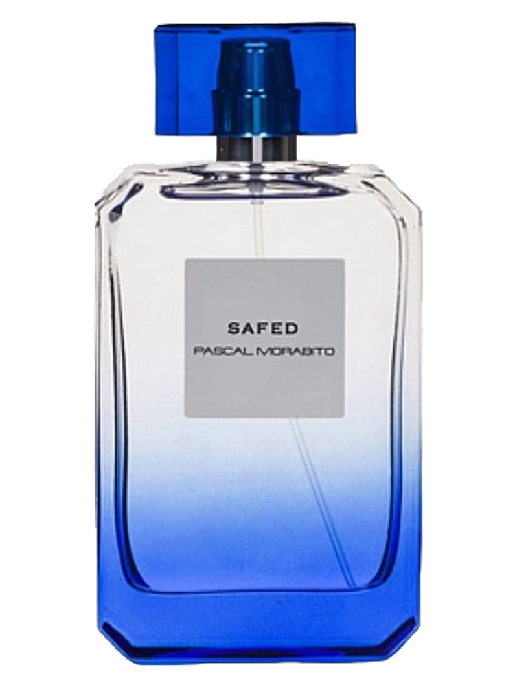Pascal Morabito Safed