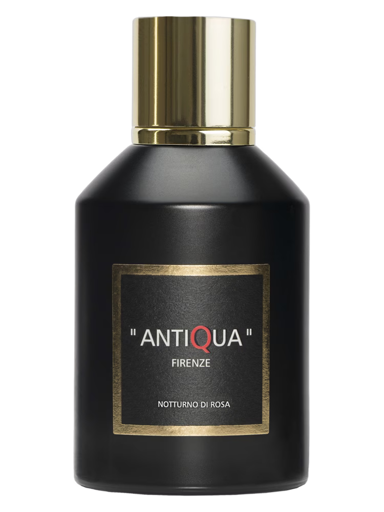 Antiqua Firenze Notturno Di Rosa