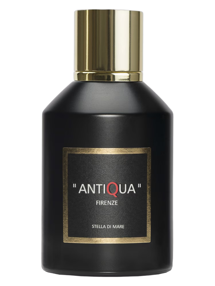 Antiqua Firenze Stella Di Mare