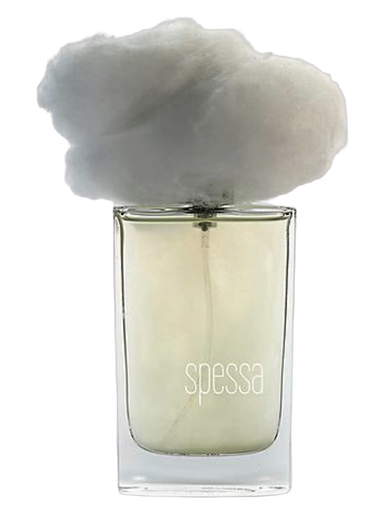 Filippo Sorcinelli Nebbia Spessa