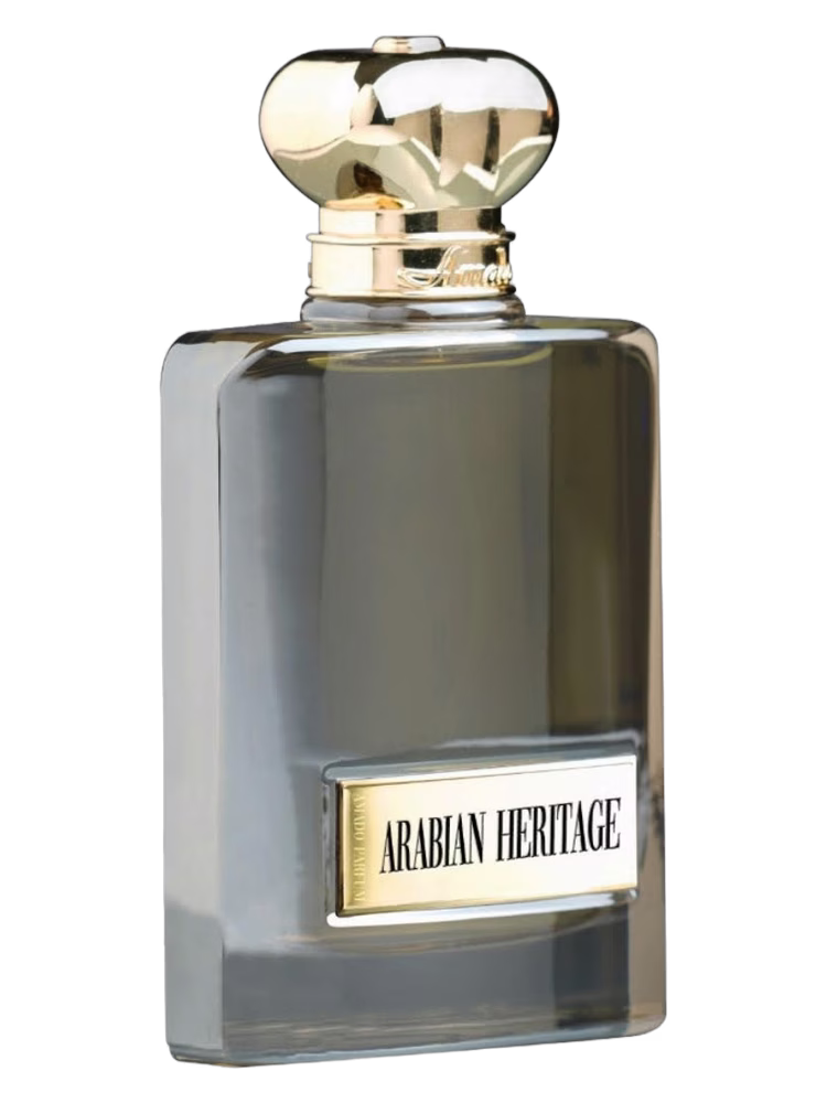 Amado Arabian Heritage
