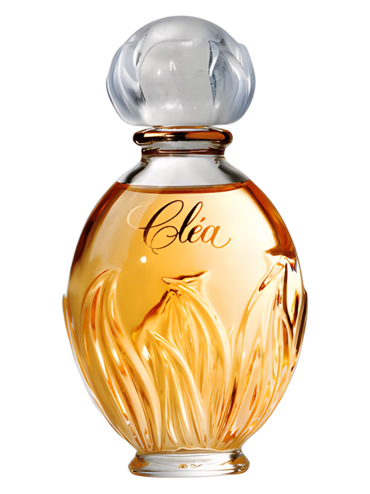 Yves Rocher Clea