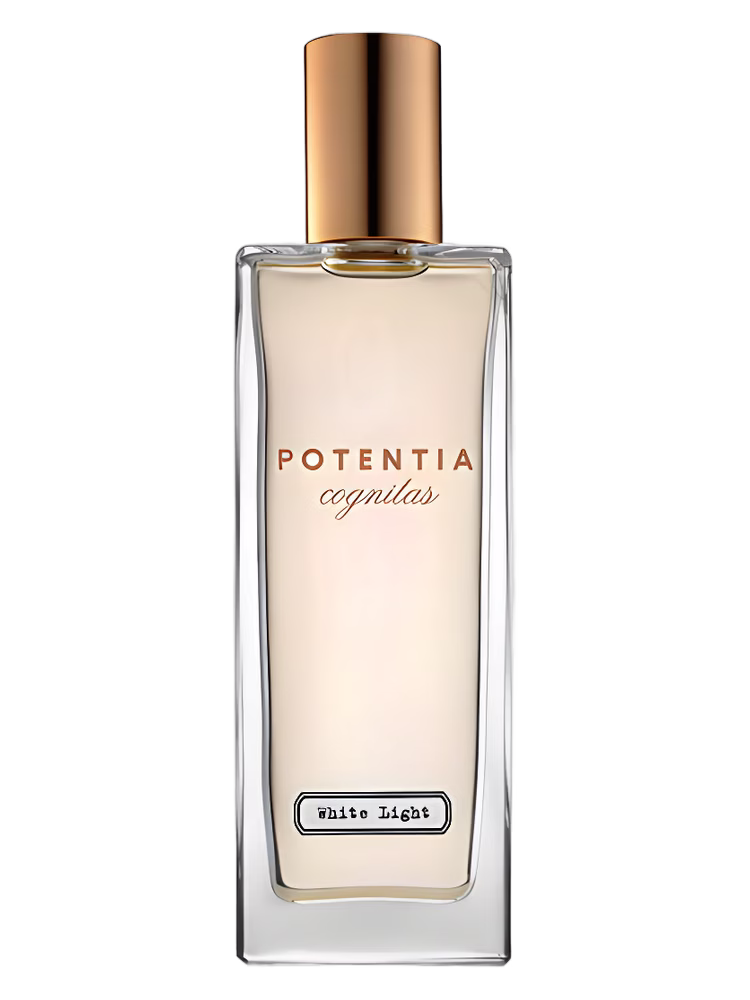 The House Of Potentia White Light