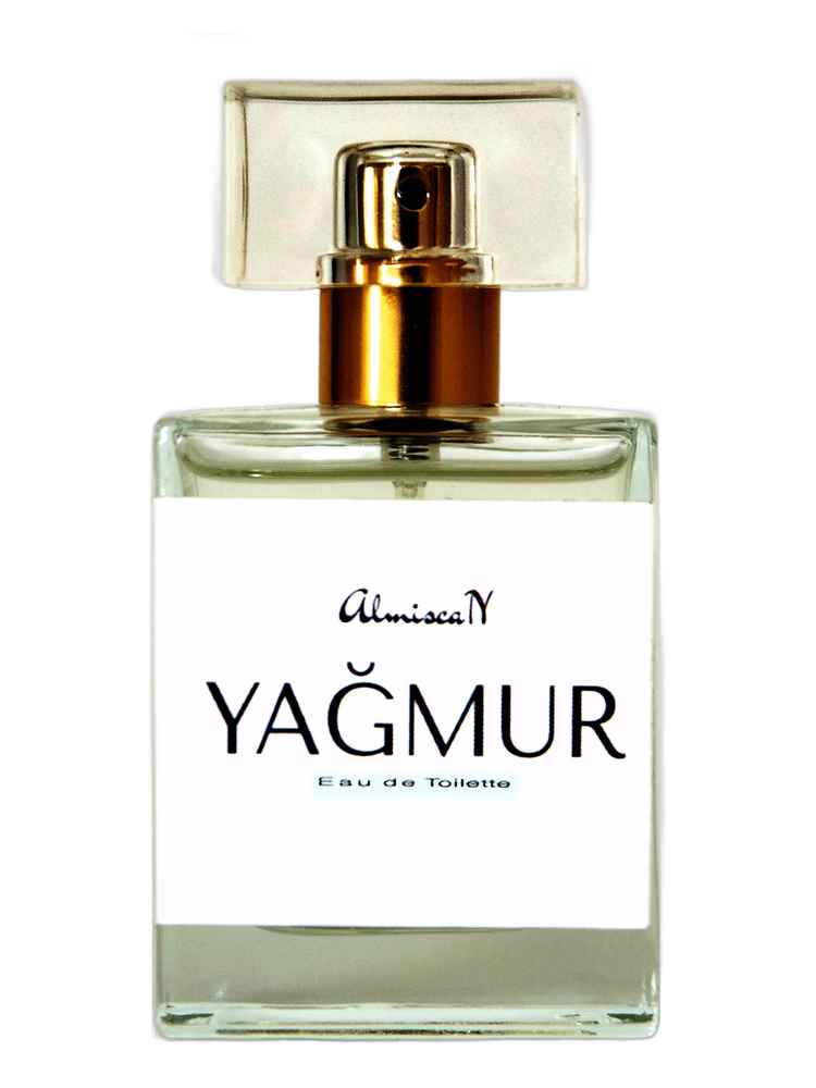 Almiscan Yagmur