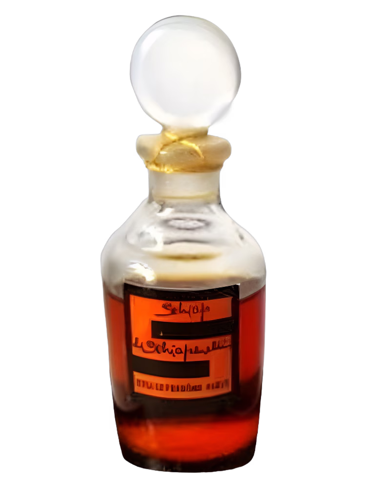 Schiaparelli Schiap