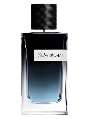Yves Saint Laurent Y