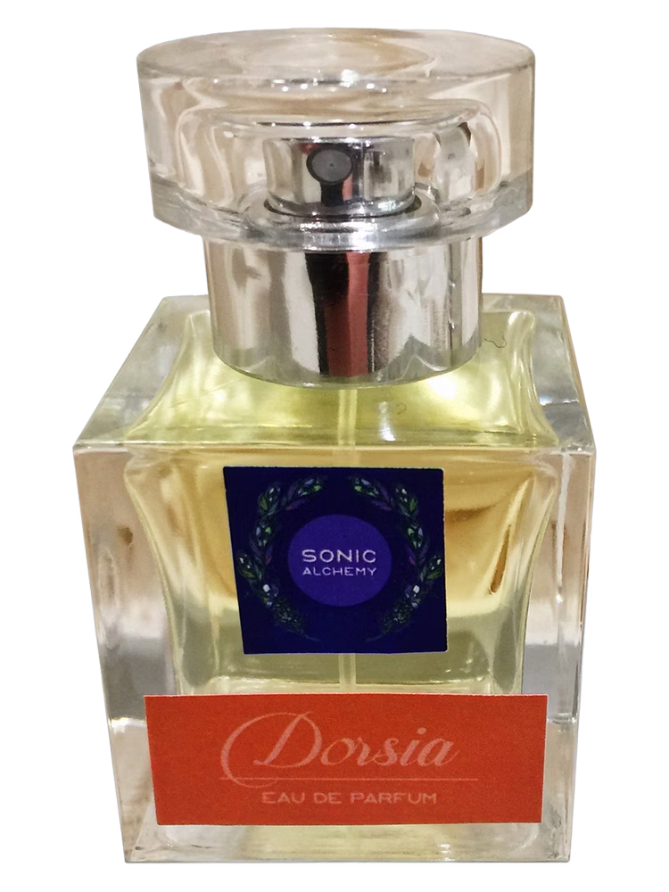Sonic Alchemy Dorsia
