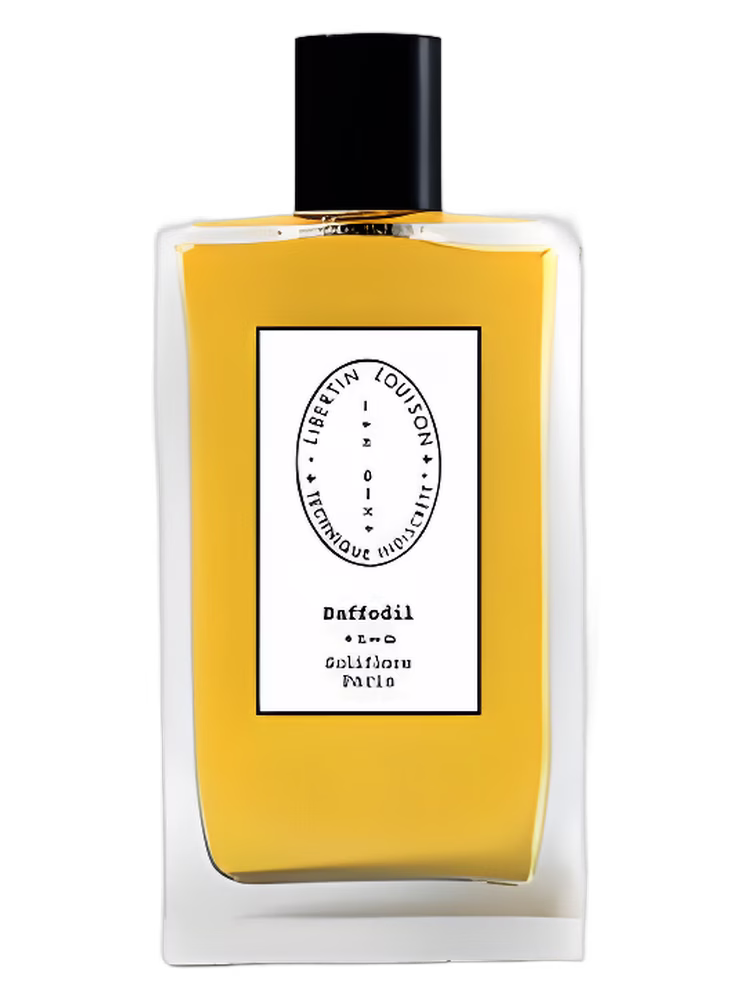 Libertin Louison Technique Indiscrete Daffodil