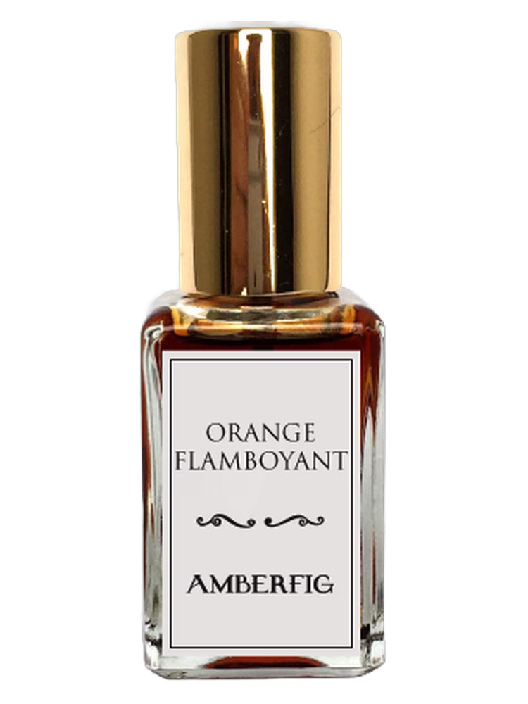 Amberfig Orange Flamboyant