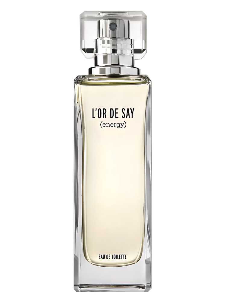 Orsay L'Or De Say Energy