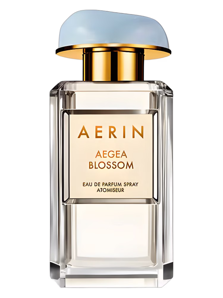 Aerin Aegea Blossom
