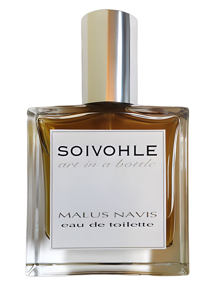 Soivohle Malus Navis