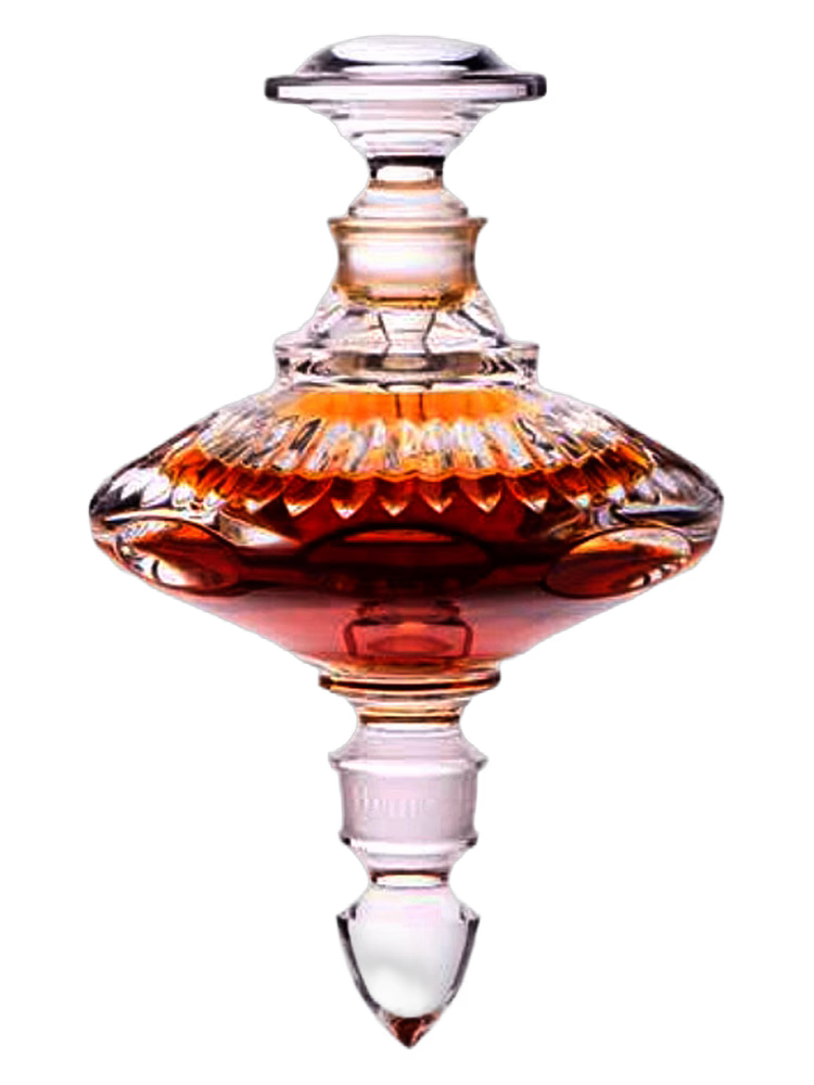 Henry Jacques Mrs. Y