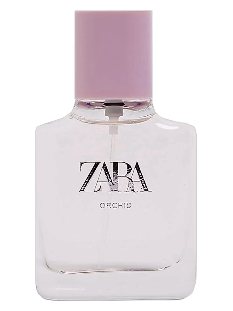 Zara Orchid 2019