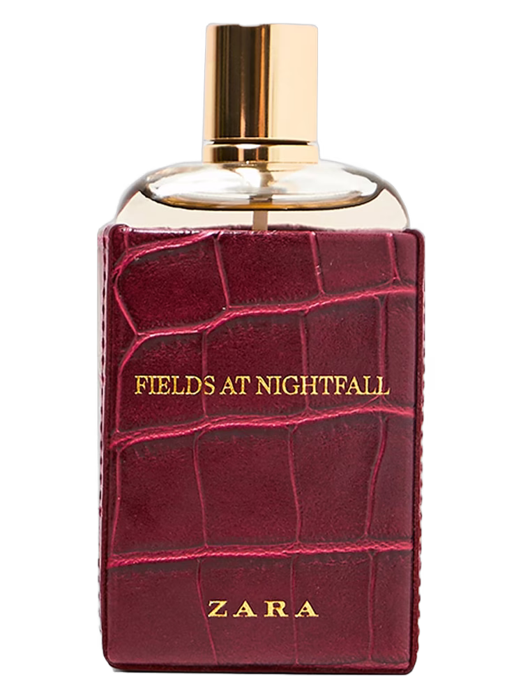 Zara Fields at Nightfall 2018