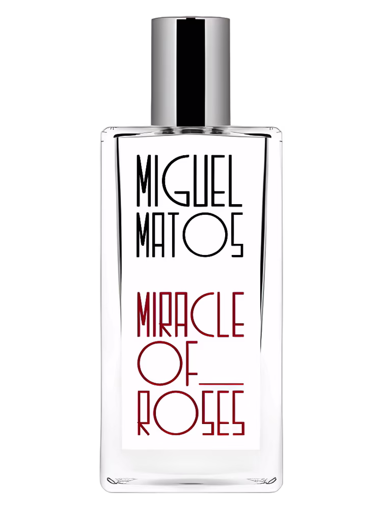 Miguel Matos Miracle of Roses