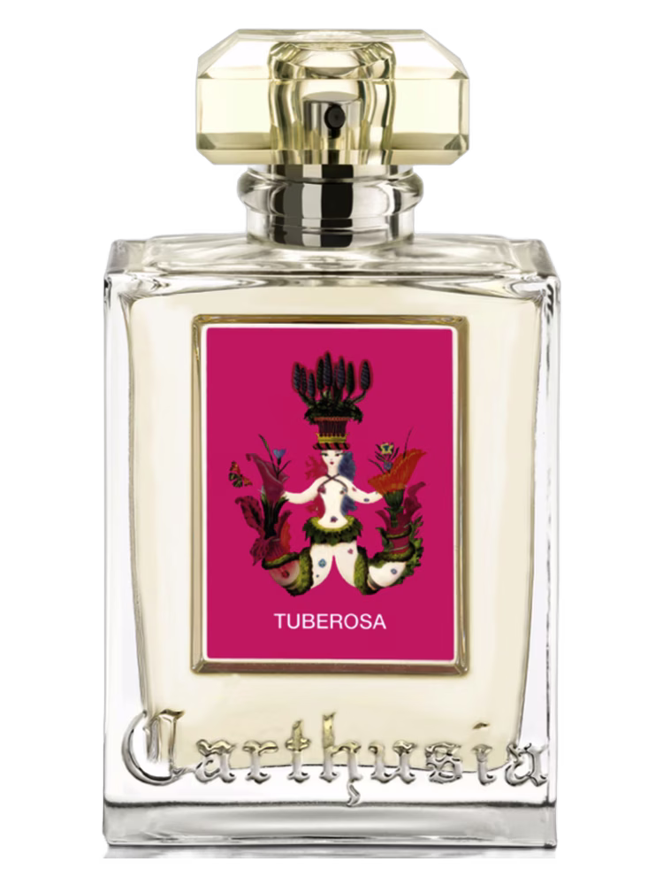 Carthusia Tuberosa