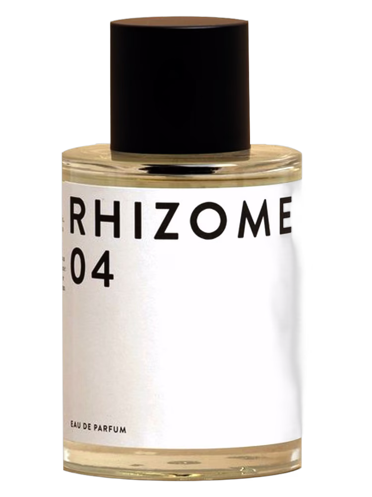 Rhizome Rhizome 04