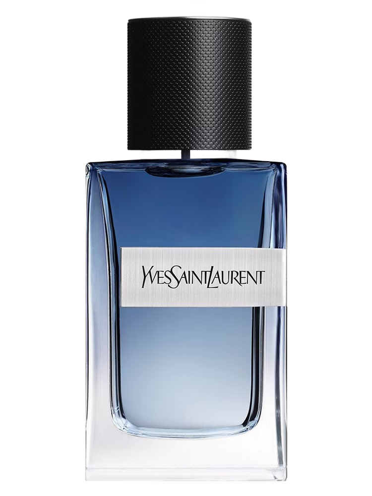 Yves Saint Laurent Y Live