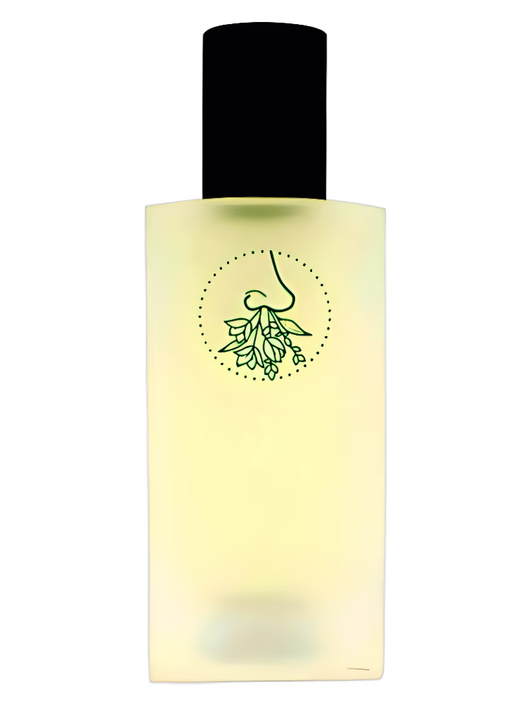 Jorum Studio Psychoterratica II