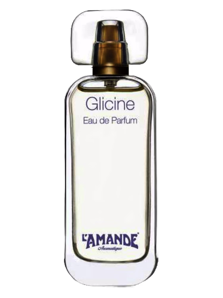 L'Amande Glicine