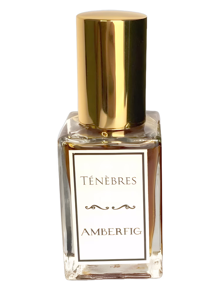 Amberfig Ténèbres