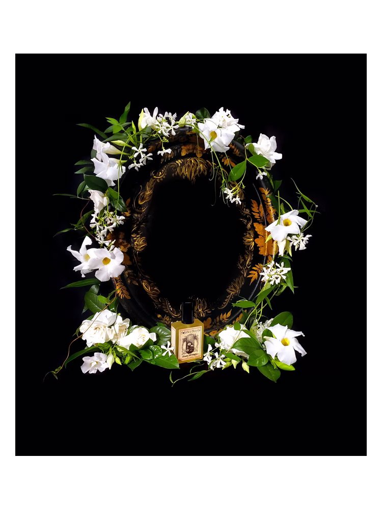 Solstice Scents Flowers Nocturnal