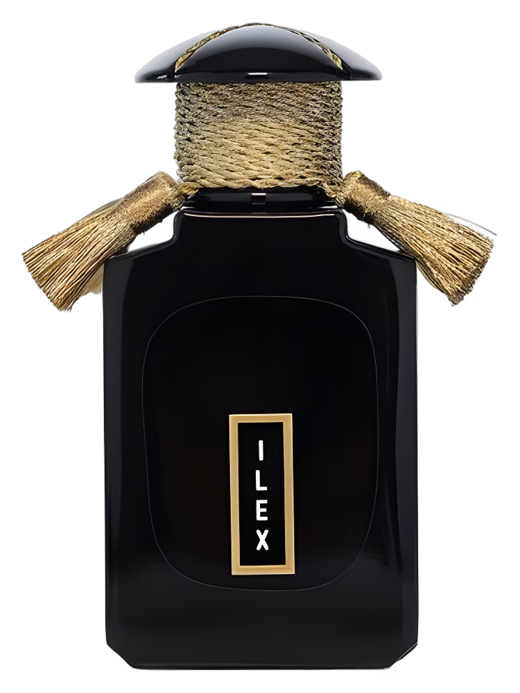 Cultus Artem Ilex