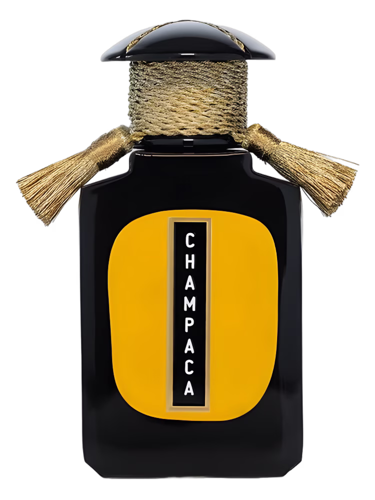 Cultus Artem Champaca