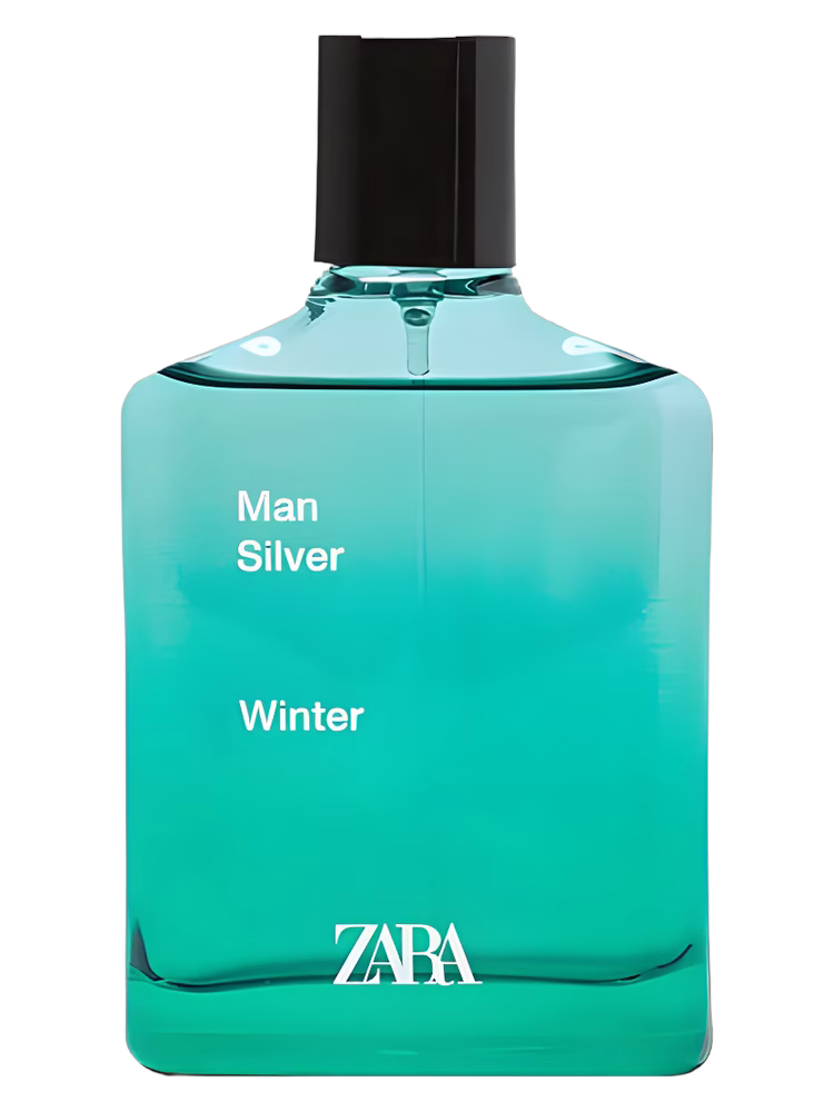 Zara Man Silver Winter