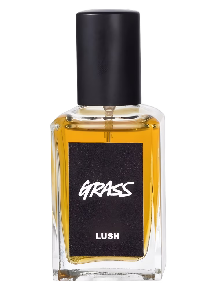 Lush Grass