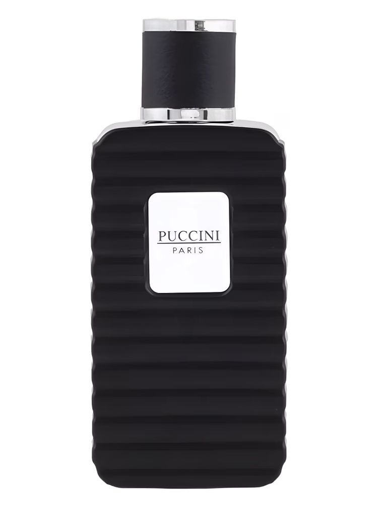 Puccini Paris Puccini Men Black