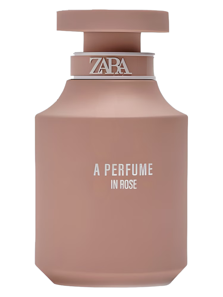 Zara A Perfume In Rose