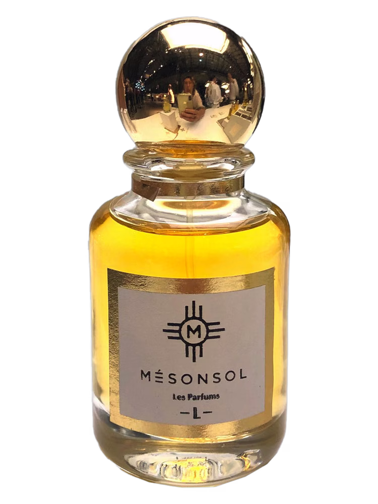 Mesonsol -L-