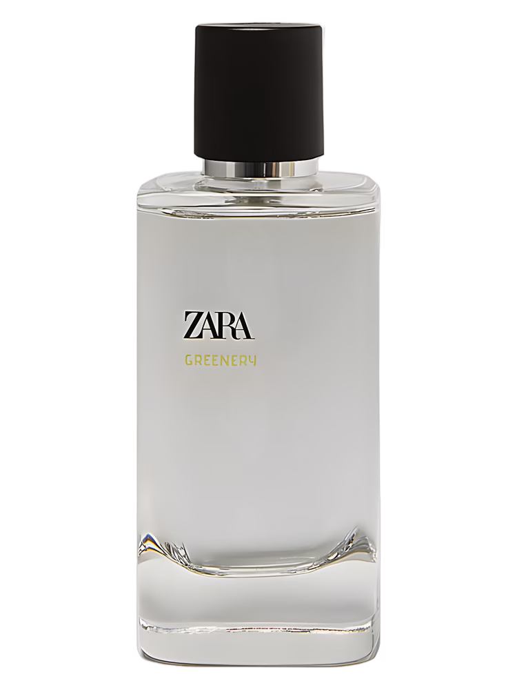 Zara Greenery