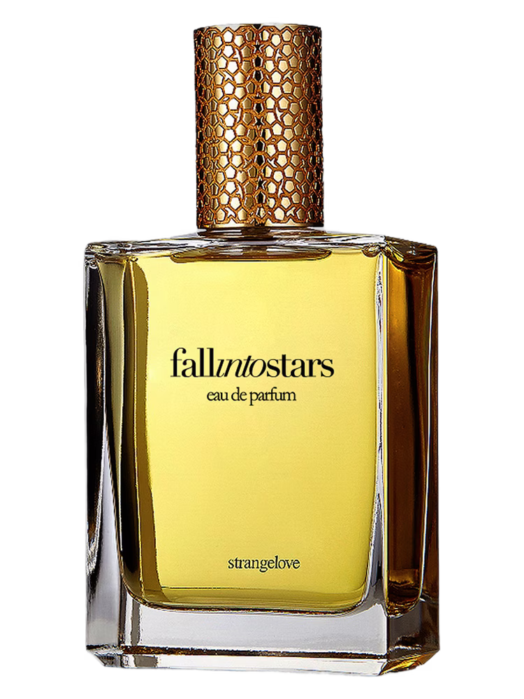 Strangelove NYC Fall Into Stars