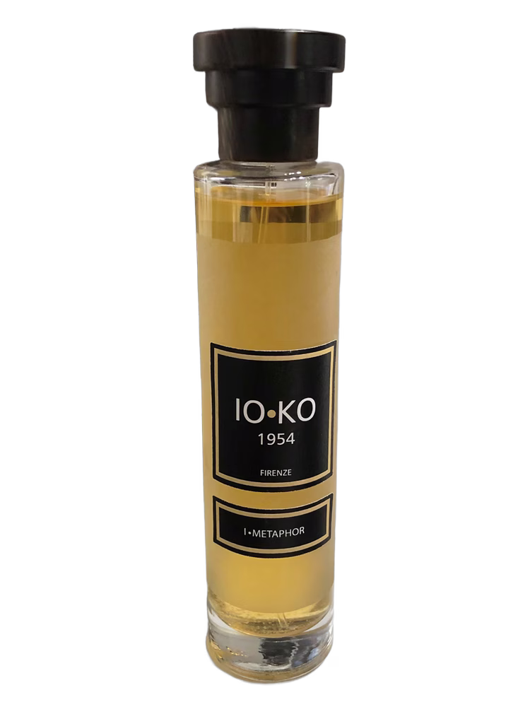 IO.KO 1954 I.Metaphor
