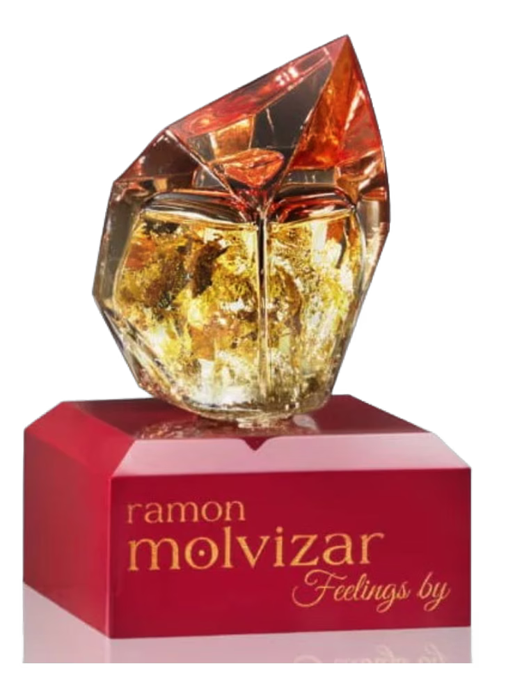 Ramon Molvizar Feelings