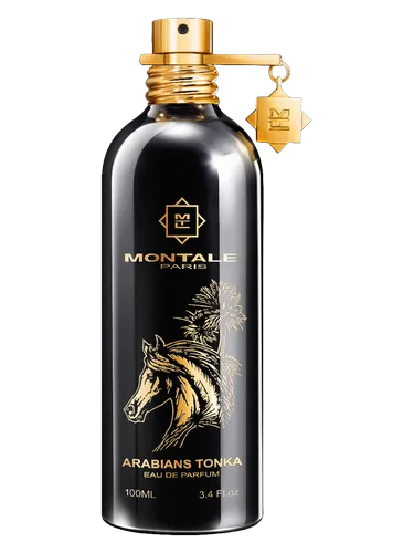 Ruh, inspired by Montale Arabians Tonka