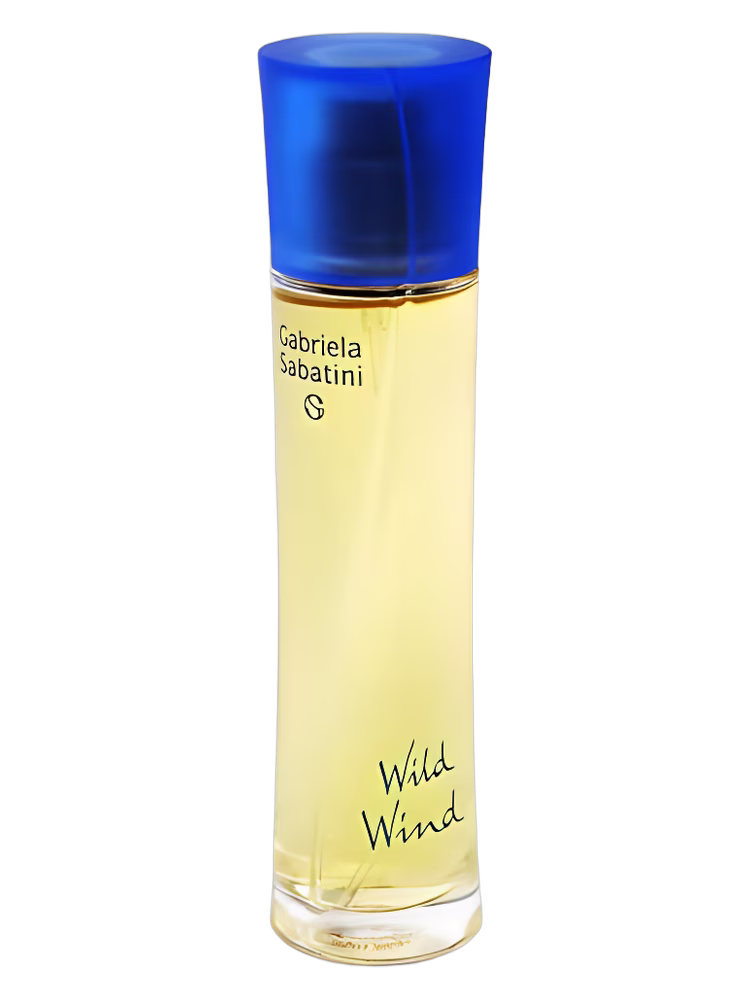 Gabriela Sabatini Wild Wind