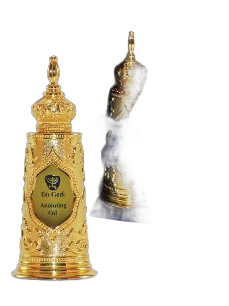 Ein Gedi Light of Jerusalem Gold Torah
